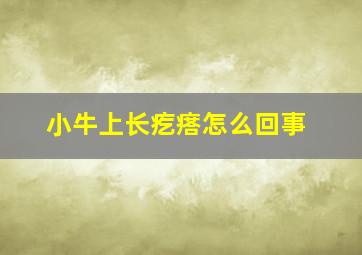 小牛上长疙瘩怎么回事