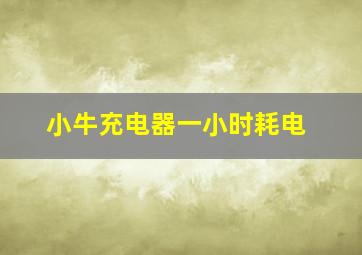 小牛充电器一小时耗电