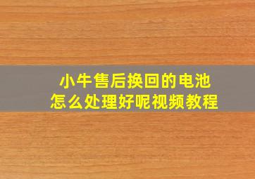 小牛售后换回的电池怎么处理好呢视频教程