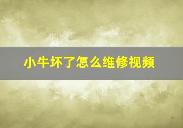 小牛坏了怎么维修视频