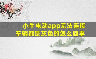 小牛电动app无法连接车辆都是灰色的怎么回事