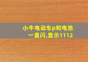 小牛电动车p和电池一直闪,显示1112