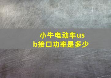 小牛电动车usb接口功率是多少