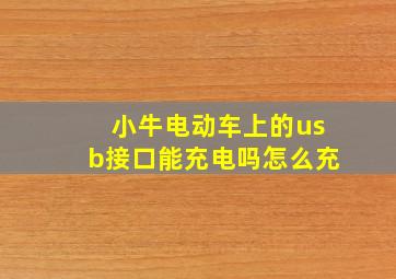 小牛电动车上的usb接口能充电吗怎么充