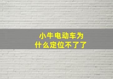 小牛电动车为什么定位不了了