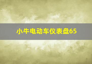 小牛电动车仪表盘65