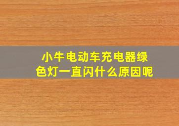 小牛电动车充电器绿色灯一直闪什么原因呢