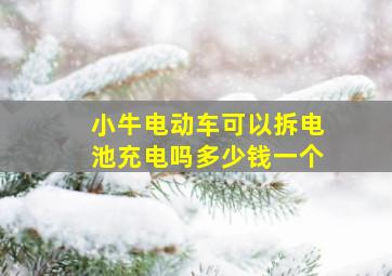 小牛电动车可以拆电池充电吗多少钱一个