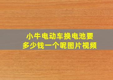 小牛电动车换电池要多少钱一个呢图片视频