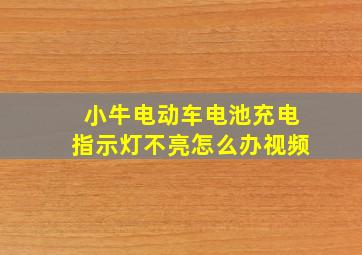 小牛电动车电池充电指示灯不亮怎么办视频