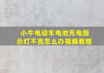 小牛电动车电池充电指示灯不亮怎么办视频教程