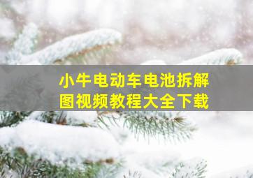 小牛电动车电池拆解图视频教程大全下载