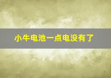 小牛电池一点电没有了