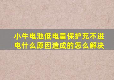 小牛电池低电量保护充不进电什么原因造成的怎么解决