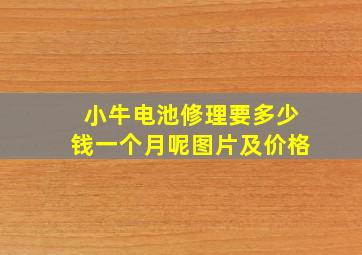 小牛电池修理要多少钱一个月呢图片及价格