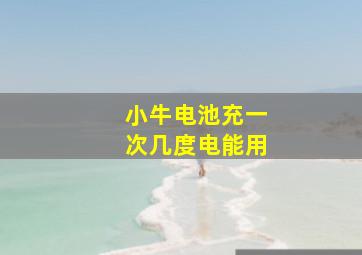 小牛电池充一次几度电能用