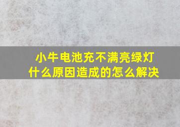 小牛电池充不满亮绿灯什么原因造成的怎么解决