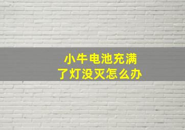 小牛电池充满了灯没灭怎么办