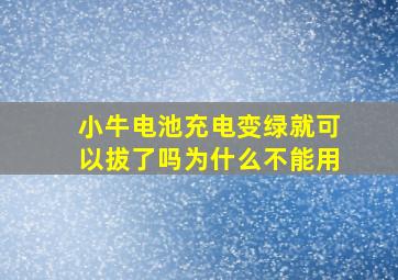 小牛电池充电变绿就可以拔了吗为什么不能用