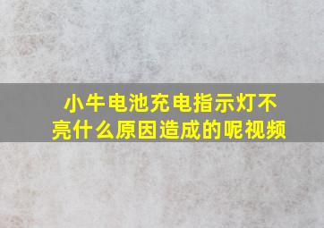 小牛电池充电指示灯不亮什么原因造成的呢视频