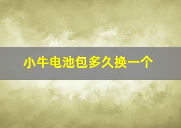 小牛电池包多久换一个