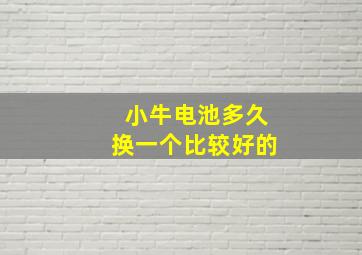 小牛电池多久换一个比较好的