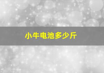 小牛电池多少斤