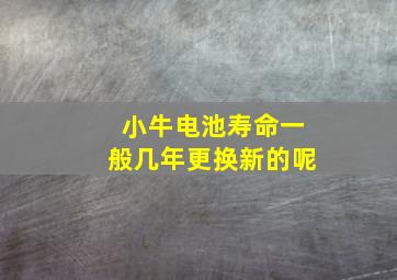 小牛电池寿命一般几年更换新的呢