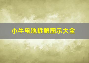 小牛电池拆解图示大全