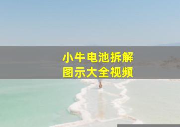 小牛电池拆解图示大全视频