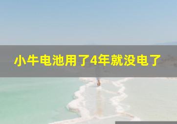 小牛电池用了4年就没电了