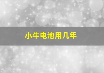 小牛电池用几年