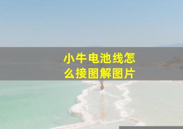 小牛电池线怎么接图解图片