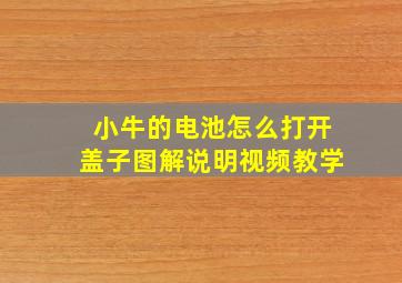 小牛的电池怎么打开盖子图解说明视频教学