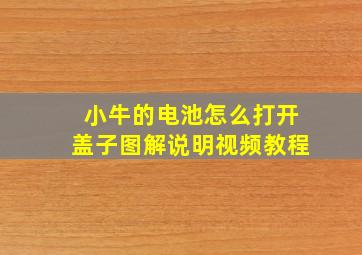 小牛的电池怎么打开盖子图解说明视频教程