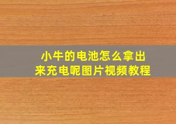 小牛的电池怎么拿出来充电呢图片视频教程