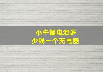 小牛锂电池多少钱一个充电器