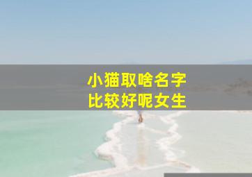 小猫取啥名字比较好呢女生