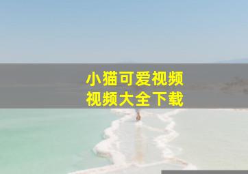 小猫可爱视频视频大全下载