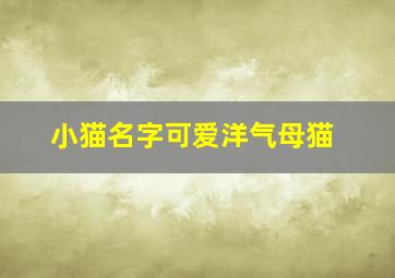 小猫名字可爱洋气母猫