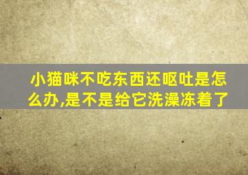 小猫咪不吃东西还呕吐是怎么办,是不是给它洗澡冻着了