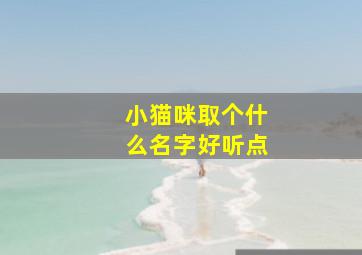 小猫咪取个什么名字好听点