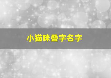 小猫咪叠字名字