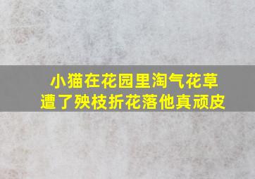 小猫在花园里淘气花草遭了殃枝折花落他真顽皮