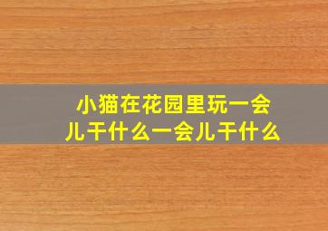 小猫在花园里玩一会儿干什么一会儿干什么