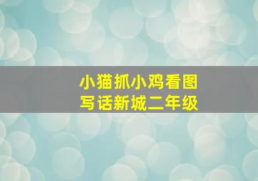 小猫抓小鸡看图写话新城二年级