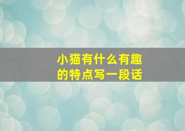 小猫有什么有趣的特点写一段话