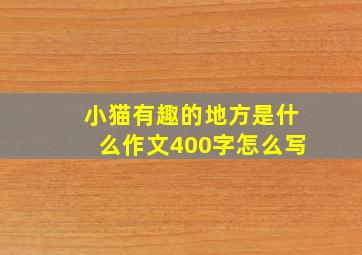 小猫有趣的地方是什么作文400字怎么写