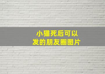 小猫死后可以发的朋友圈图片