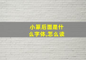 小篆后面是什么字体,怎么读